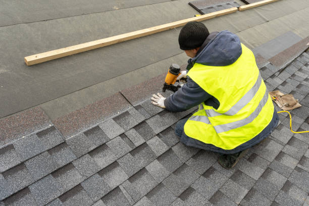 Best Roof Gutter Cleaning  in Nuevo, CA